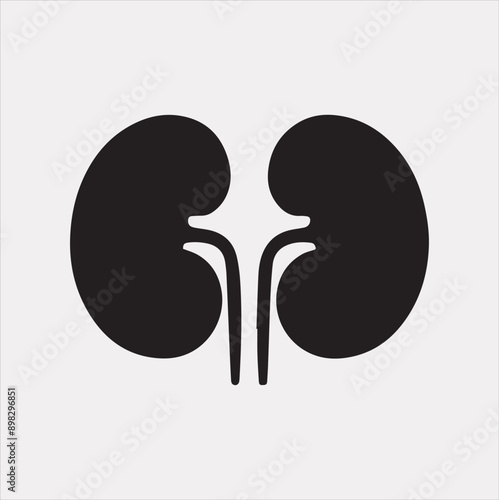 kidney vector silhouette on a white background