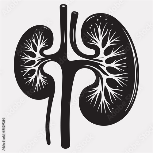 kidney vector silhouette on a white background