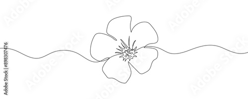 Linear flower on white background. Modern backdrop. Continuous line drawing vector illustration. Oxalis pes-caprae flower