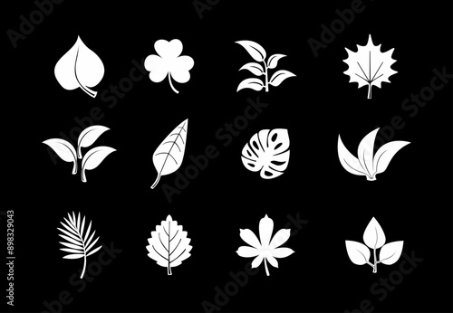 Leaf icons set ecology nature element, green leafs. Eco, bio, natural, vegan icon. Vector illustration on a black background. For logos, designs, for the symbolism of the green planet, bio labels