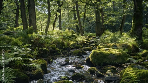 serene woodland scene babbling brook winding through lush forest sunlight filters through canopy creating dappled patterns on mosscovered rocks and ferns