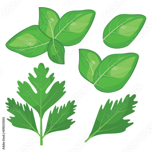 Vector image of greenery for cooking. Food and fast food concept. Element for your design. Ingredient for cooking.