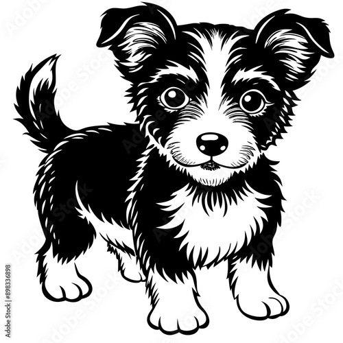 dog Vector