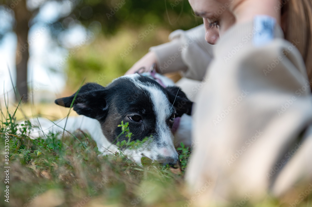 Young woman with dog outdoor. Woman relaxing in a park with her dog Young woman with dog outdoor. Woman relaxing in a park with her dog