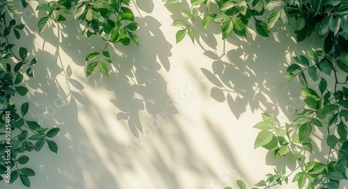 Shadow leaves sunshade on transparent backgrounds isolated in 3D rendering