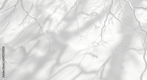 Three-dimensional rendering of realistic tree branches isolated on transparent backgrounds