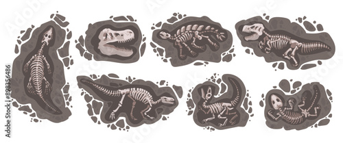 Dig dinosaur. Archeology stone. Dino skeleton. Cartoon education about animal. Earth digging. Tyrannosaurus skull. Ground excavation. Geology research. Old rock. Vector paleontological elements set