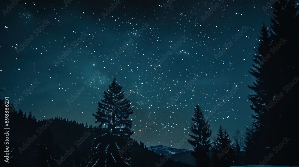 Fototapeta premium A starry night sky with a tree in the foreground