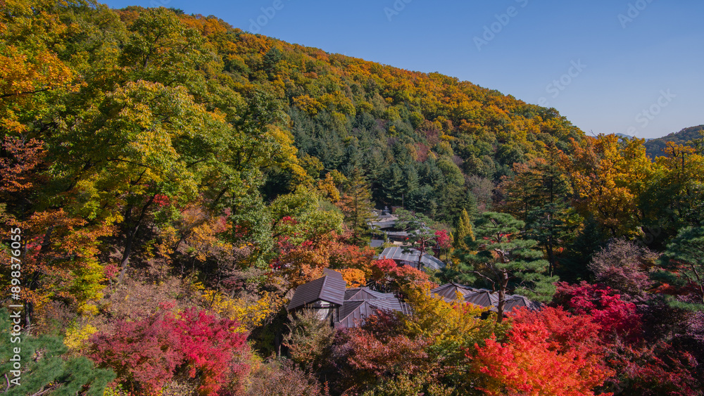 autumn in the mountains autumn in the mountains