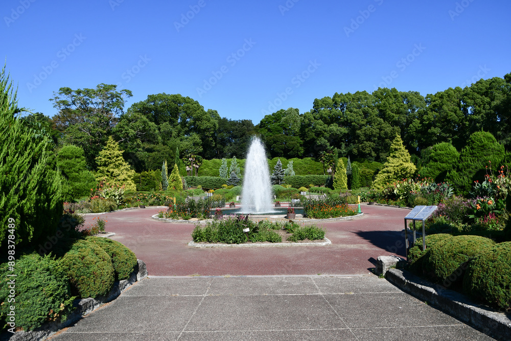 Obraz premium 京都府立植物園の噴水