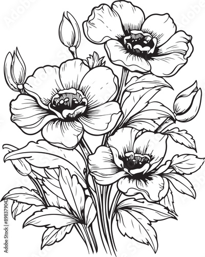 Flowers Coloring Silhouettes black and white vector illustration Free Download