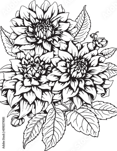 Flowers Coloring Silhouettes black and white vector illustration Free Download