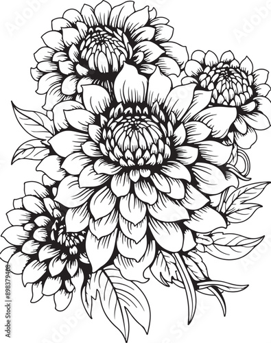 Flowers Coloring Silhouettes black and white vector illustration Free Download