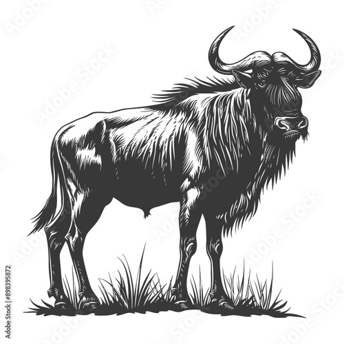 Black and White Illustration of a Wildebeest