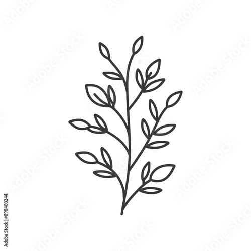 Black and White Line Drawing of a Branch with Leaves