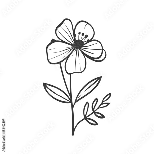 A Hand Drawn Illustration of a Simple Flower with Leaves