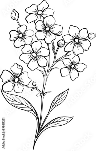 Forget me not flower lineart