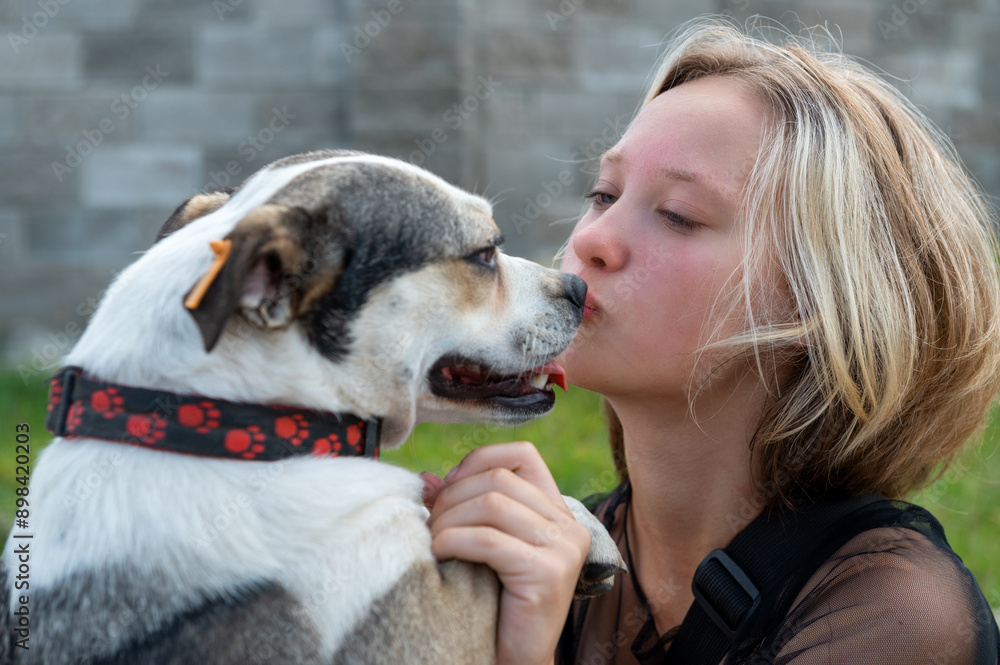 Dog at the shelter. Animal shelter volunteer takes care of dogs. Dog at the shelter. Animal shelter volunteer takes care of dogs.