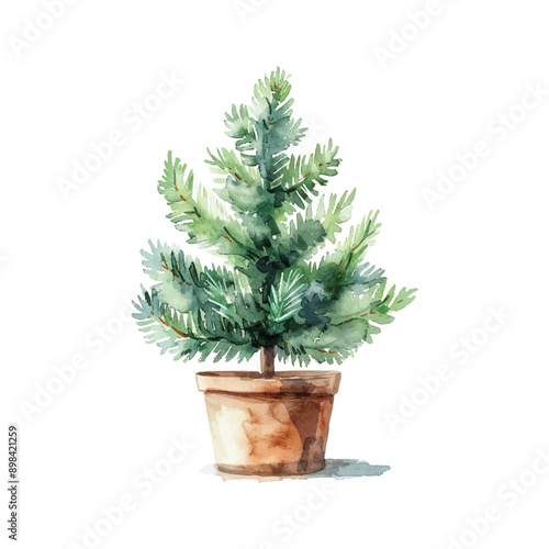 watercolor christmas tree vector illustration