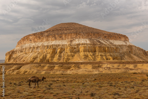 Sherkala is a lonely mountain of unusual shape, approximately 94 km northeast of the city of Aktau, Western Kazakhstan. photo