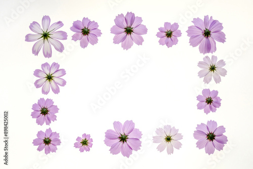 Close-up of pink cosmos petals in rectangular format on white floor, South Korea 