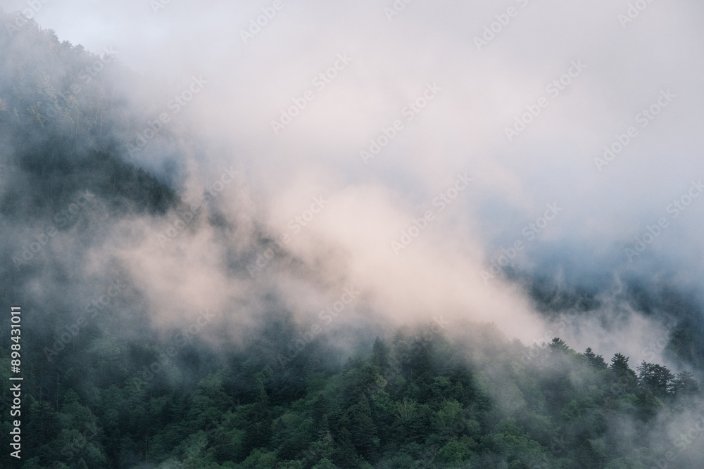 Fototapeta premium 山の風景