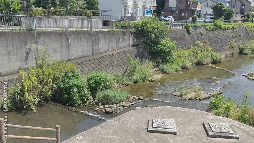 custom made wallpaper toronto digitalJapanese landscape, river, wild birds