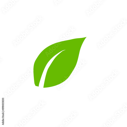 Green leaf icons. Leaves icon. Leaves of trees and plants. Vector illustration.