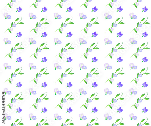 butterfly pea flower arrange on seamless pattern background