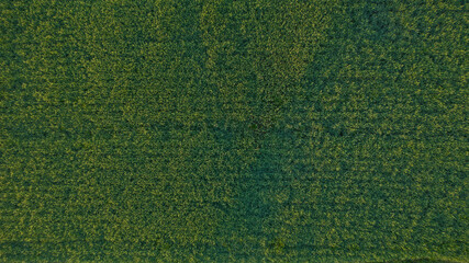 Handdoek met foto Weide Donkergroen grasveld vanuit de lucht  © Joachim Beauvilain