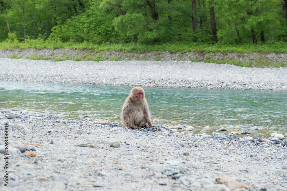 Obraz premium 山岳風景