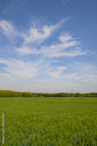 Fotografie Paysage normand avec ciel et champ au grand angle