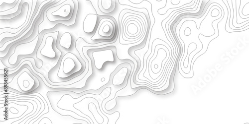 Abstract pattern with lines seamless topography map and counter map. geometric grid outline sea map area space geometric line technology topo landscape grid map texture.