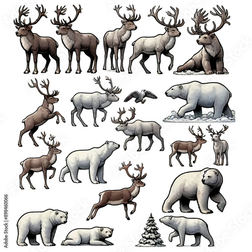 Polar Bears and Reindeer in Winter Scenes