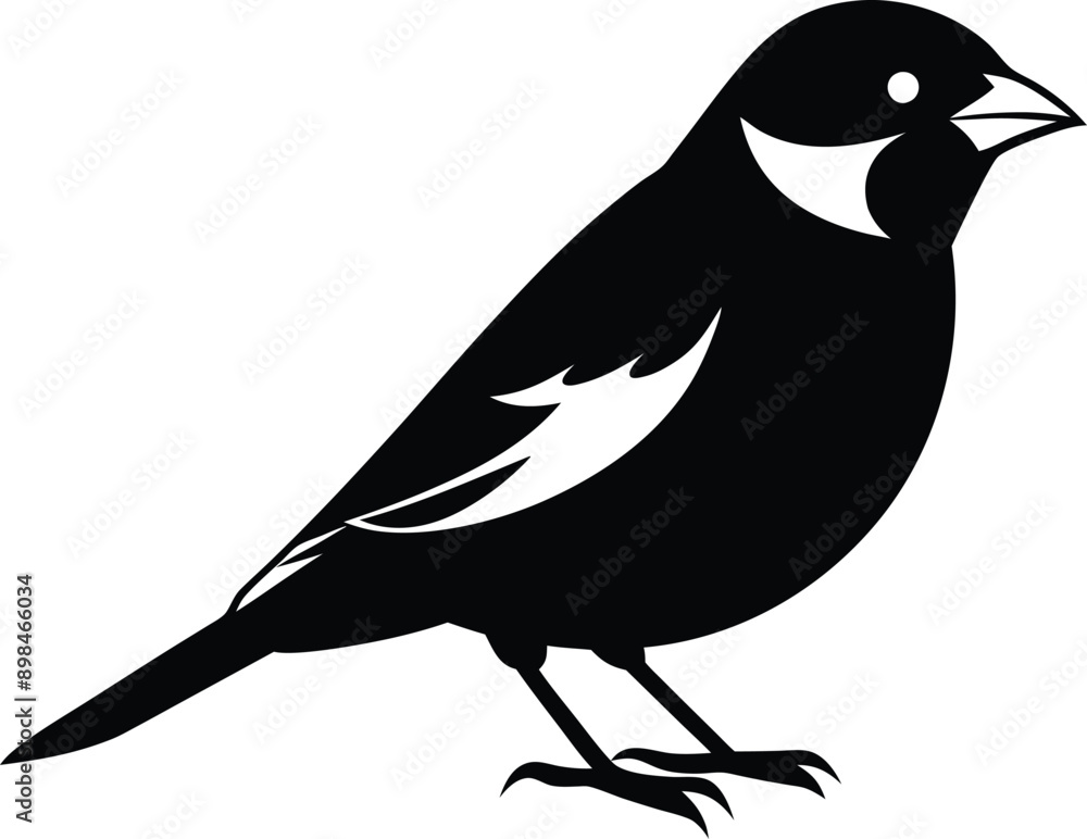 Black and white silhouette of a sparrow Black and white silhouette of a sparrow