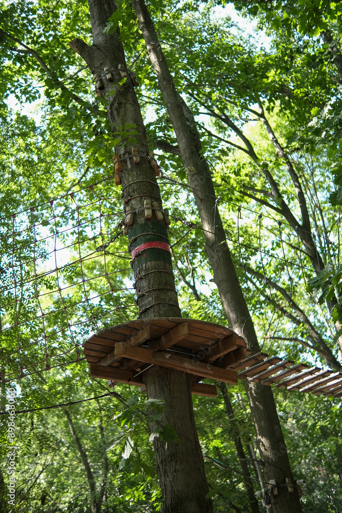 Fototapeta premium Tree ladder, cable car, rope park in the trees