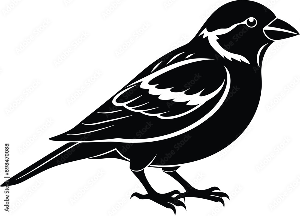 Fototapeta premium Black and white silhouette of a sparrow