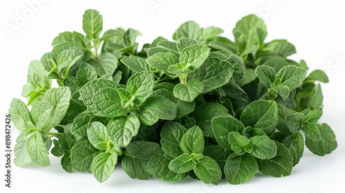 Vibrant Fresh Oregano Leaves Isolated on White Background for Culinary Concepts