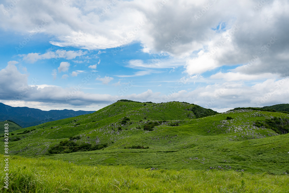 7月の平尾台 7月の平尾台