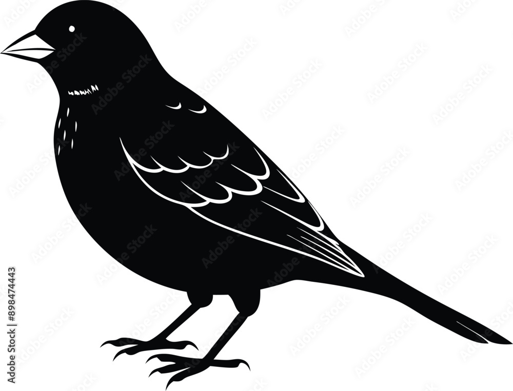 Fototapeta premium Black and white silhouette of a sparrow