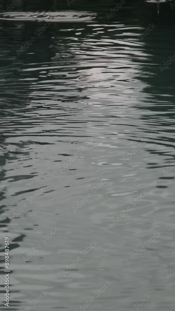 Close up raindrops falling into the water. Close up raindrops falling into the water.