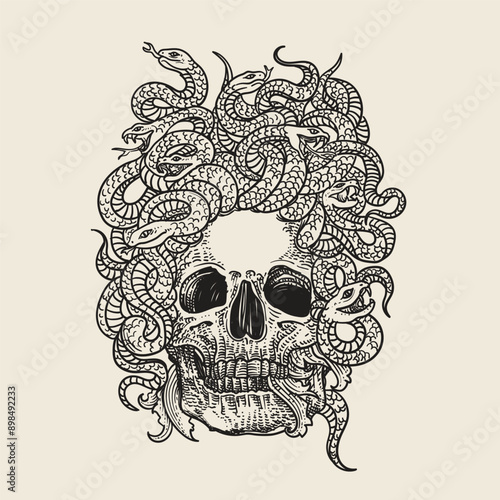 Hand drawn skull with snakes. Vector illustration
