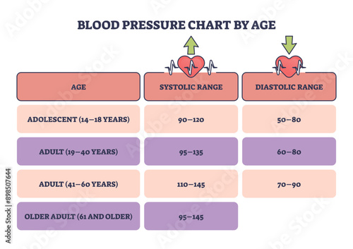 Blood pressure chart by age as systolic or diastolic readings outline diagram, transparent background. Labeled educational chart with adolescent, adult and older heart normal rate level illustration.