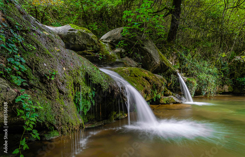 waterfall in the forest