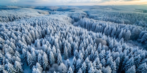 snow covered forest in winter drone shot AI-Generated Content