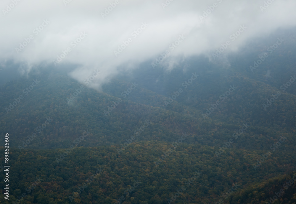 Morning fog in the mountains