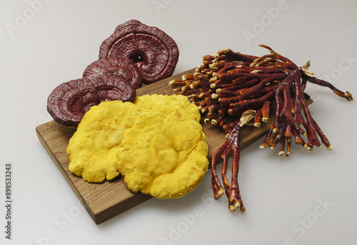 Close-up of three types of dried mushrooms like Phellinus linteus, Reishi mushroom and Antler ganoderma lucidum on wood plate, South Korea
 photo