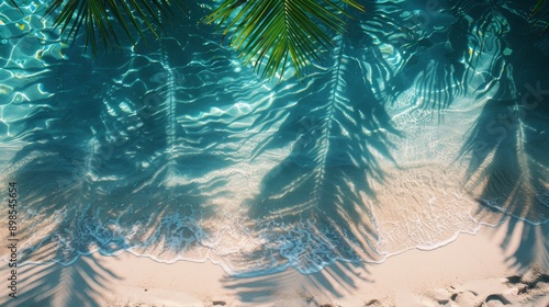 Palm Tree Shadow on Sandy Beach