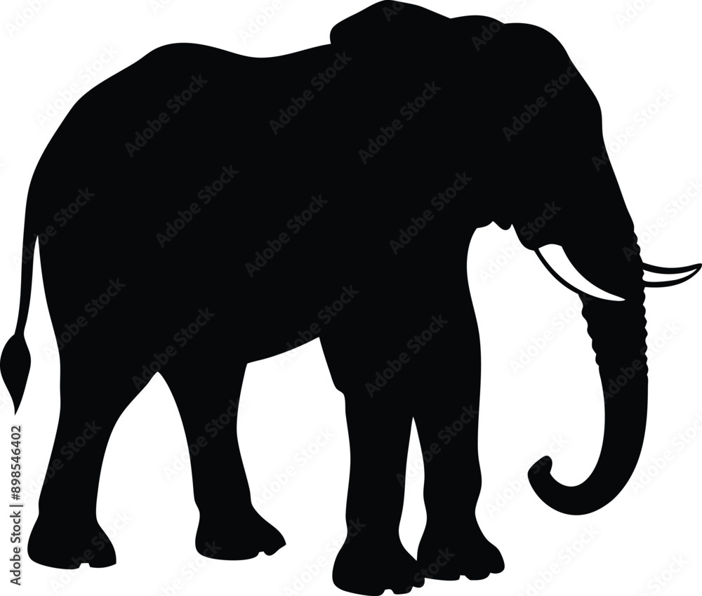Fototapeta premium Elephant silhouette isolated on white