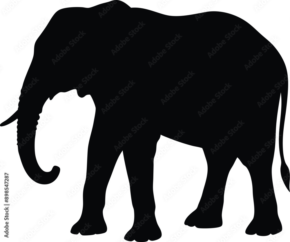 Fototapeta premium Elephant silhouette isolated on white